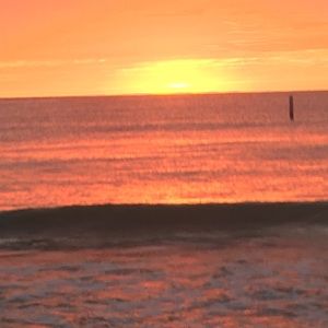 Meet your Posher, Lea